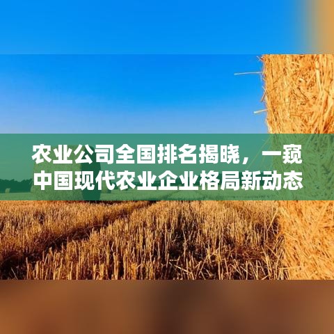 農(nóng)業(yè)公司全國排名揭曉，一窺中國現(xiàn)代農(nóng)業(yè)企業(yè)格局新動態(tài)