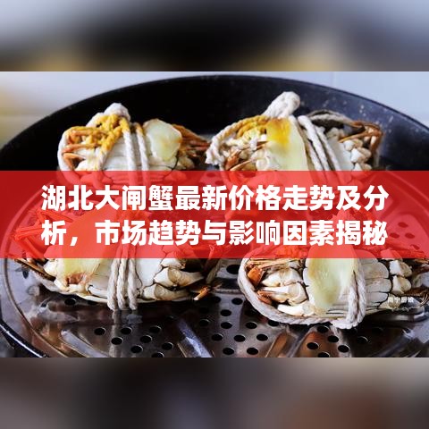 湖北大閘蟹最新價格走勢及分析，市場趨勢與影響因素揭秘！