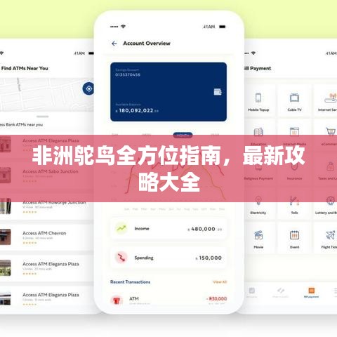 非洲鴕鳥全方位指南，最新攻略大全