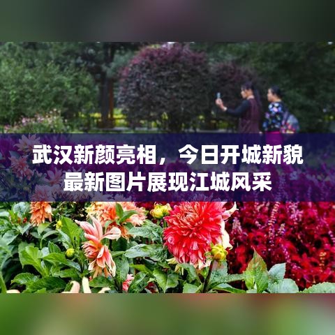 武漢新顏亮相，今日開城新貌最新圖片展現(xiàn)江城風(fēng)采
