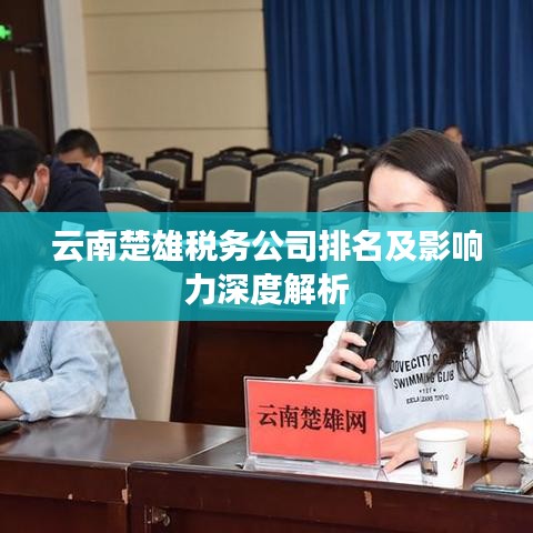 云南楚雄稅務(wù)公司排名及影響力深度解析