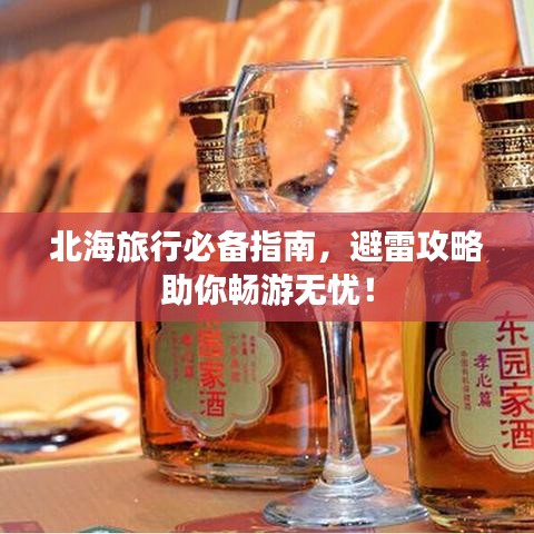 北海旅行必備指南，避雷攻略助你暢游無憂！