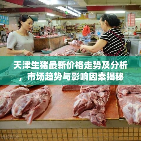 天津生豬最新價(jià)格走勢(shì)及分析，市場(chǎng)趨勢(shì)與影響因素揭秘