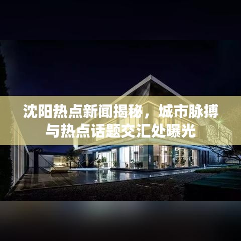 沈陽熱點新聞揭秘，城市脈搏與熱點話題交匯處曝光
