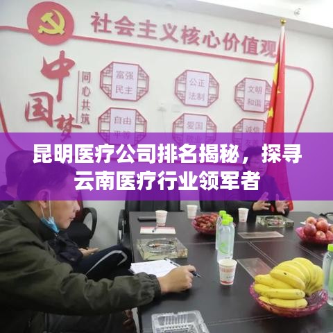 昆明醫(yī)療公司排名揭秘，探尋云南醫(yī)療行業(yè)領(lǐng)軍者
