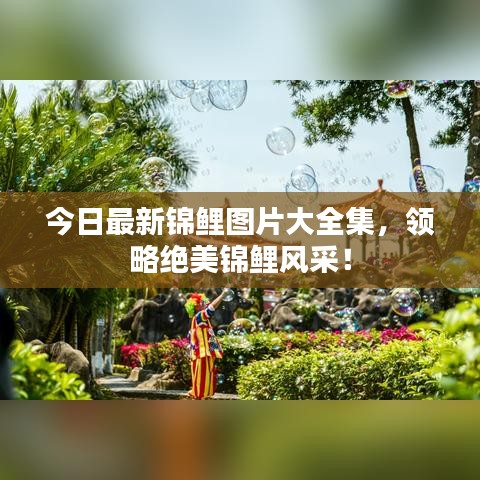 今日最新錦鯉圖片大全集，領(lǐng)略絕美錦鯉風(fēng)采！