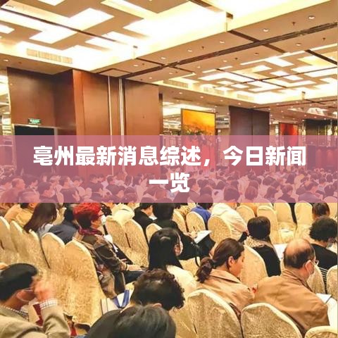 亳州最新消息綜述，今日新聞一覽