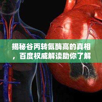 揭秘谷丙轉氨酶高的真相，百度權威解讀助你了解健康隱患！
