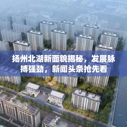 揚(yáng)州北湖新面貌揭秘，發(fā)展脈搏強(qiáng)勁，新聞?lì)^條搶先看