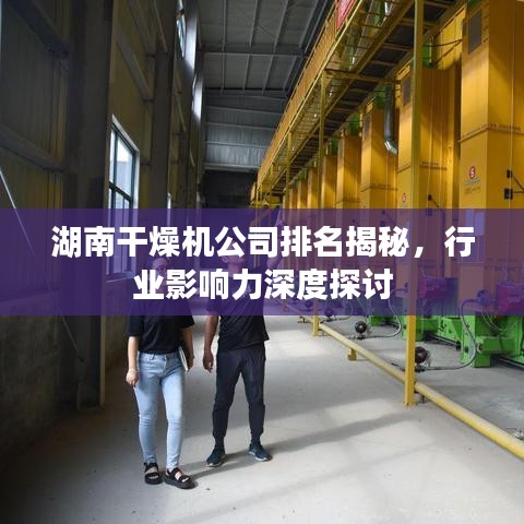 湖南干燥機(jī)公司排名揭秘，行業(yè)影響力深度探討