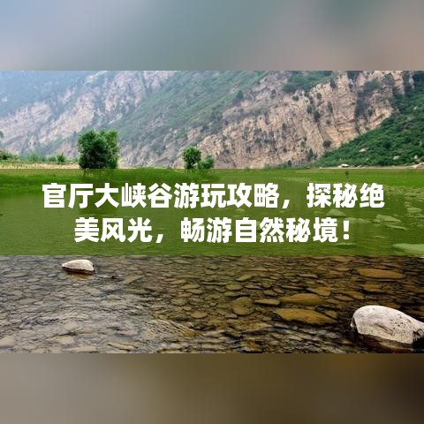 草率從事 第4頁(yè)