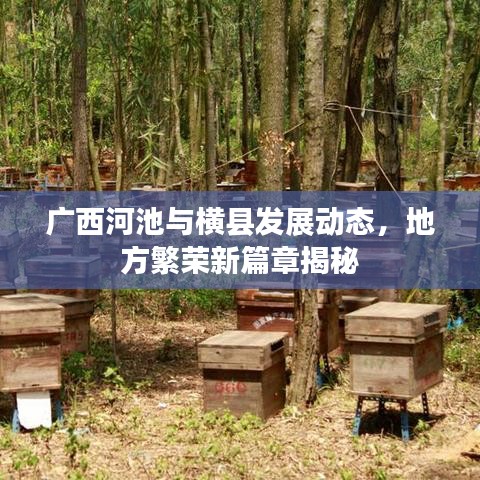 廣西河池與橫縣發(fā)展動態(tài)，地方繁榮新篇章揭秘