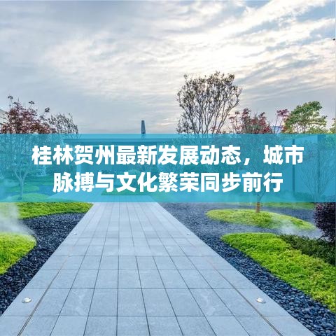 桂林賀州最新發(fā)展動態(tài)，城市脈搏與文化繁榮同步前行