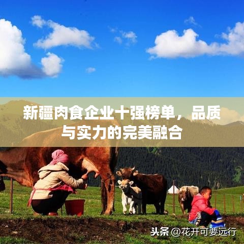 新疆肉食企業(yè)十強榜單，品質與實力的完美融合