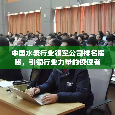 中國(guó)水表行業(yè)領(lǐng)軍公司排名揭秘，引領(lǐng)行業(yè)力量的佼佼者