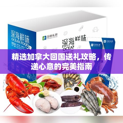 精選加拿大回國(guó)送禮攻略，傳遞心意的完美指南