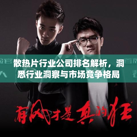 散熱片行業(yè)公司排名解析，洞悉行業(yè)洞察與市場競爭格局