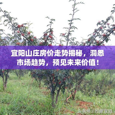 宜陽山莊房價走勢揭秘，洞悉市場趨勢，預見未來價值！