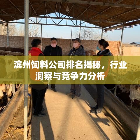 濱州飼料公司排名揭秘，行業(yè)洞察與競(jìng)爭(zhēng)力分析