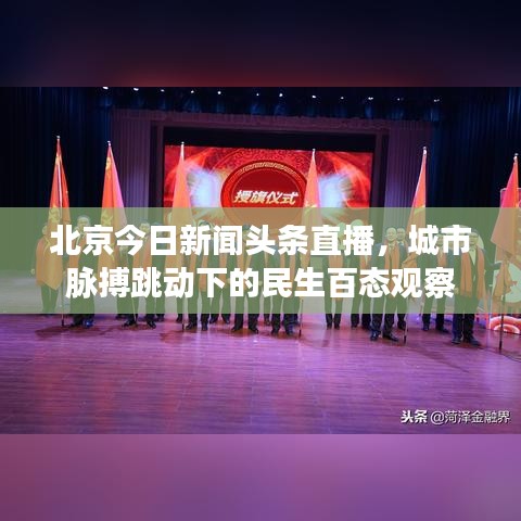 北京今日新聞?lì)^條直播，城市脈搏跳動(dòng)下的民生百態(tài)觀察