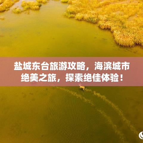 鹽城東臺(tái)旅游攻略，海濱城市絕美之旅，探索絕佳體驗(yàn)！
