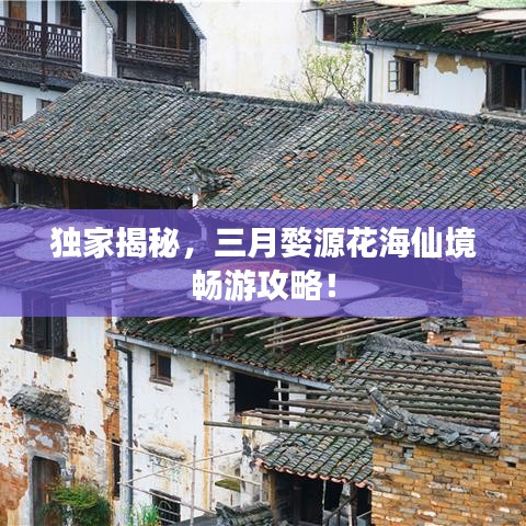 獨(dú)家揭秘，三月婺源花海仙境暢游攻略！