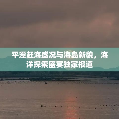 平潭趕海盛況與海島新貌，海洋探索盛宴獨(dú)家報(bào)道