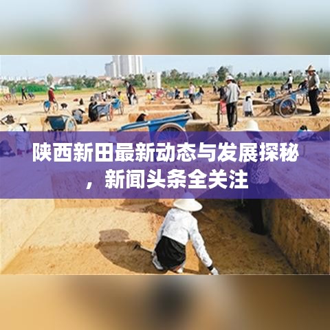 陜西新田最新動態(tài)與發(fā)展探秘，新聞頭條全關(guān)注