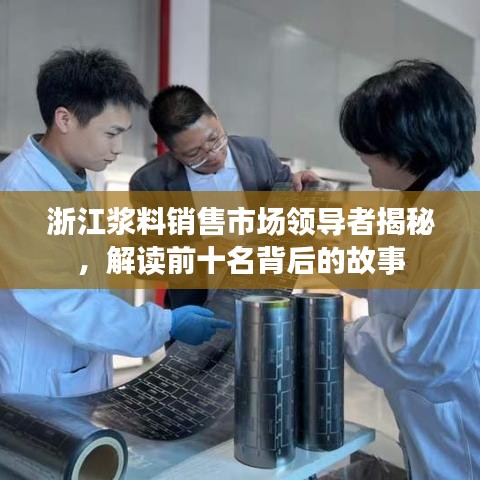浙江漿料銷售市場領導者揭秘，解讀前十名背后的故事