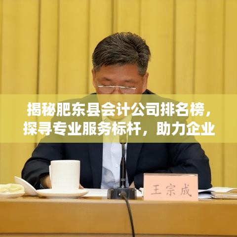 揭秘肥東縣會(huì)計(jì)公司排名榜，探尋專業(yè)服務(wù)標(biāo)桿，助力企業(yè)高效發(fā)展！