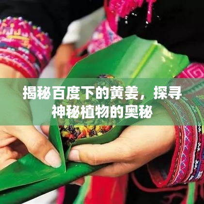 云煙 第3頁