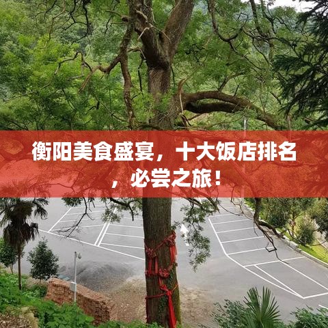 衡陽美食盛宴，十大飯店排名，必嘗之旅！
