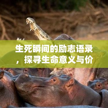 生死瞬間的勵志語錄，探尋生命意義與價值啟示