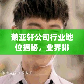 蕭亞軒公司行業(yè)地位揭秘，業(yè)界排名與發(fā)展展望