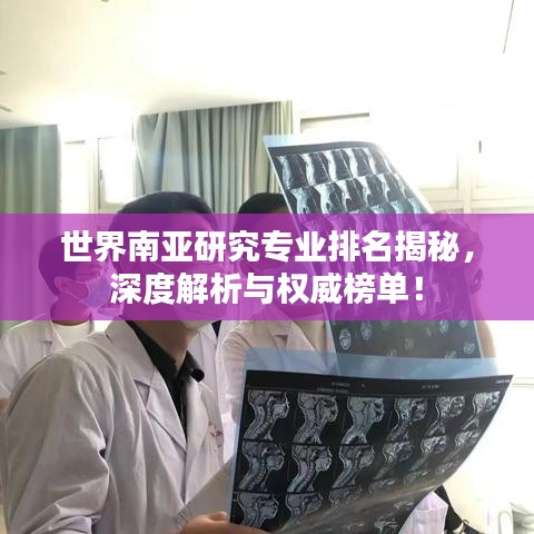 世界南亞研究專業(yè)排名揭秘，深度解析與權(quán)威榜單！