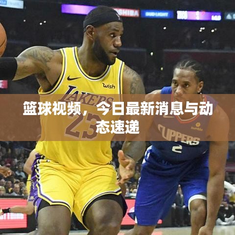 籃球視頻，今日最新消息與動(dòng)態(tài)速遞