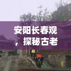 蜎飛蠢動 第4頁