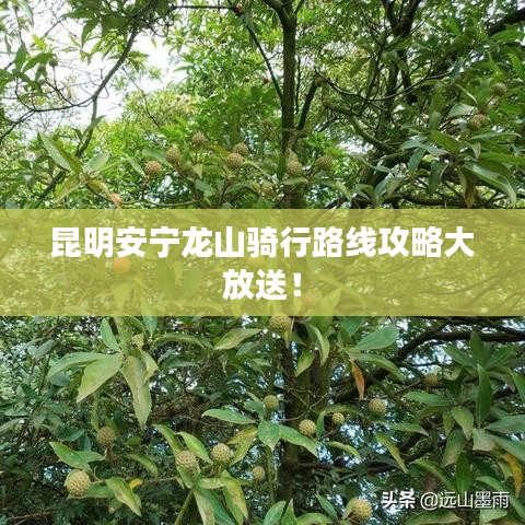 昆明安寧龍山騎行路線攻略大放送！