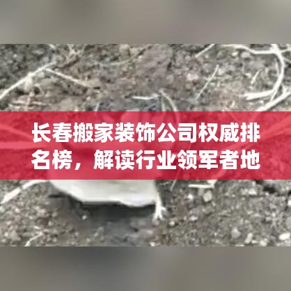 長春搬家裝飾公司權(quán)威排名榜，解讀行業(yè)領(lǐng)軍者地位