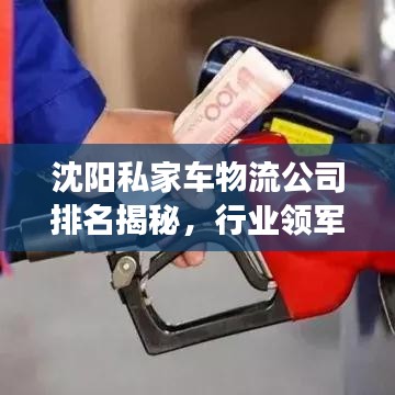 沈陽私家車物流公司排名揭秘，行業(yè)領(lǐng)軍者解讀