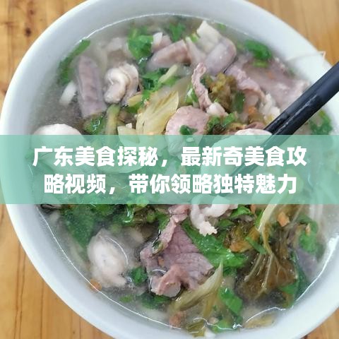 廣東美食探秘，最新奇美食攻略視頻，帶你領(lǐng)略獨(dú)特魅力