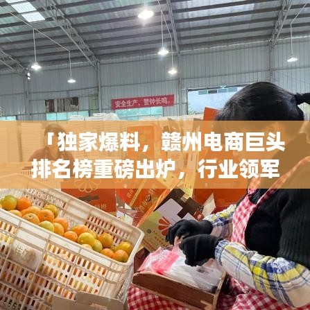 「獨(dú)家爆料，贛州電商巨頭排名榜重磅出爐，行業(yè)領(lǐng)軍者榮耀榜單大揭秘！」