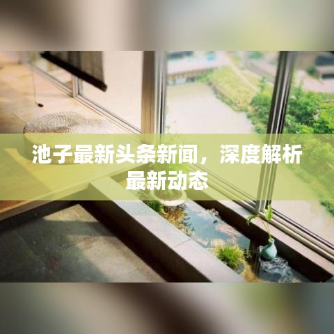 池子最新頭條新聞，深度解析最新動(dòng)態(tài)