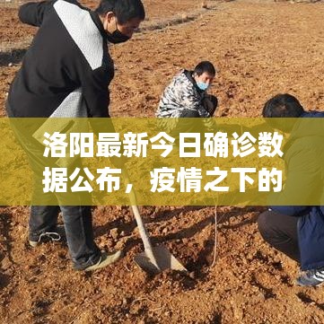 洛陽最新今日確診數(shù)據(jù)公布，疫情之下的城市防控動(dòng)態(tài)