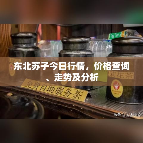 東北蘇子今日行情，價格查詢、走勢及分析