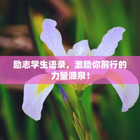 勵志學(xué)生語錄，激勵你前行的力量源泉！