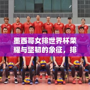 墨西哥女排世界杯榮耀與堅(jiān)韌的象征，排名榜一覽