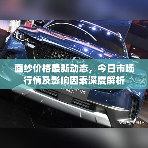 面紗價格最新動態(tài)，今日市場行情及影響因素深度解析