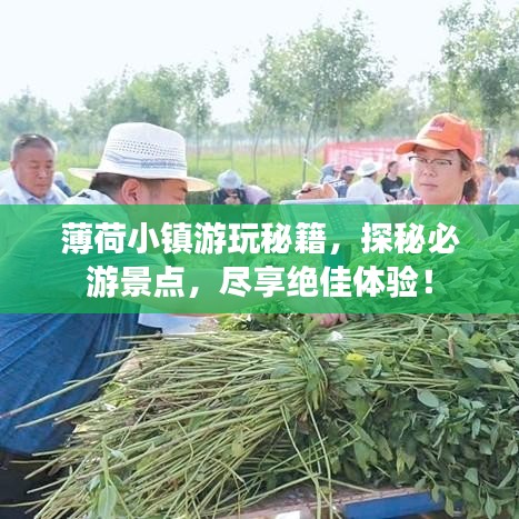 薄荷小鎮(zhèn)游玩秘籍，探秘必游景點，盡享絕佳體驗！