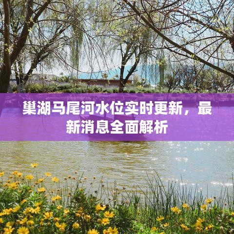 巢湖馬尾河水位實(shí)時(shí)更新，最新消息全面解析